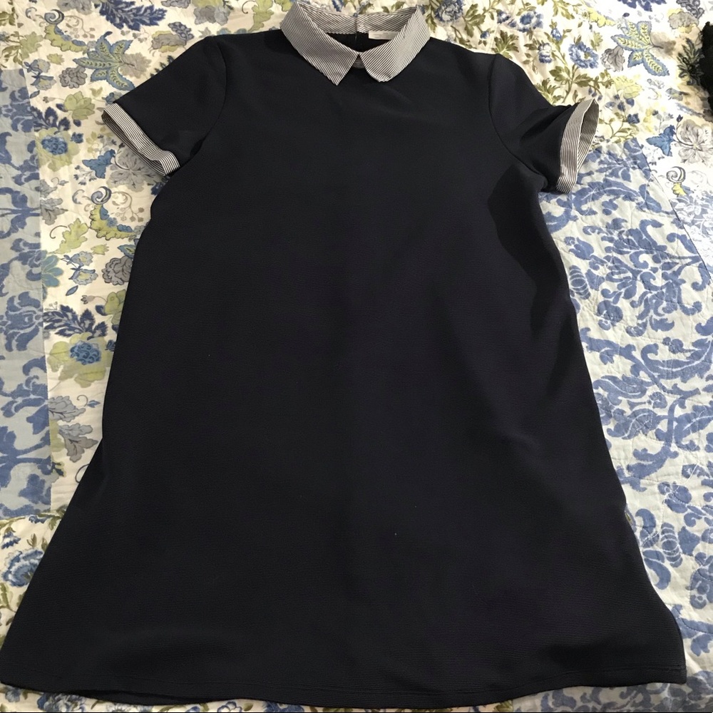 Zara | Peter Pan Collar Dress